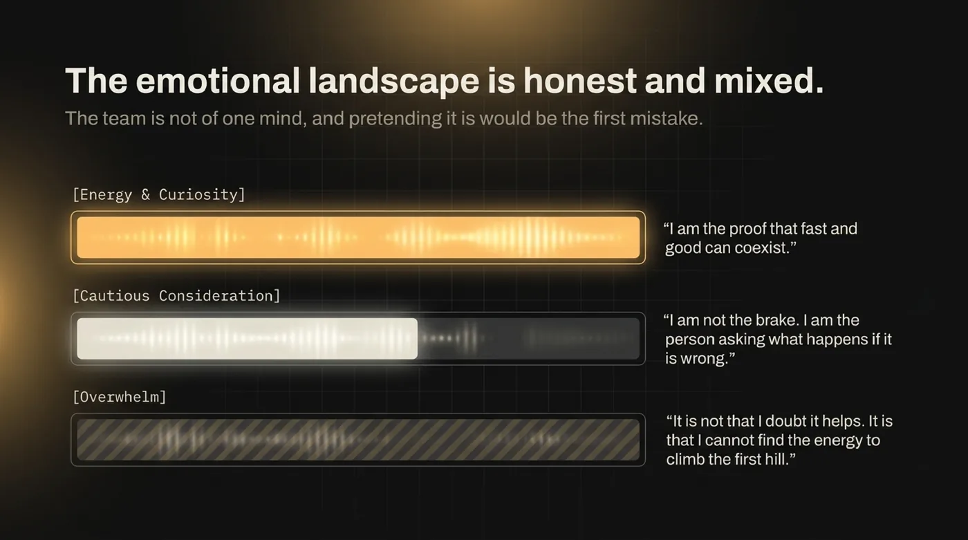 Emotional landscape across the team: energy and curiosity, cautious consideration, and overwhelm — each with an anonymized voice quote